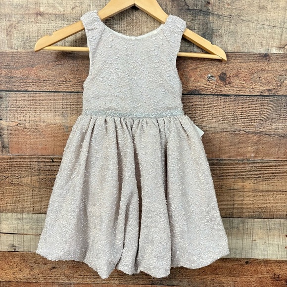 BLUEBERI BOULEVARD Little Girls Size 4T Sleeveless Bubble Dress Silver NWT - Picture 1 of 13
